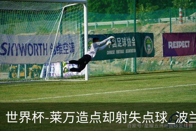 世界杯-莱万造点却射失点球 波兰交白卷平墨西哥