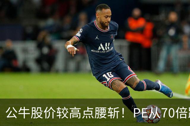 公牛股价较高点腰斩！PE从70倍跌到17倍，年赚40亿成现金牛